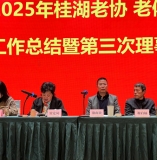 《鹧鸪天·桂湖老协年终总结暨第三次理事会有寄》