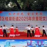 《行香子·桂湖重阳雅集》