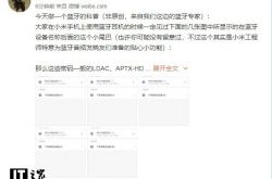 小米张国全：我们做了一个蓝牙编码的科